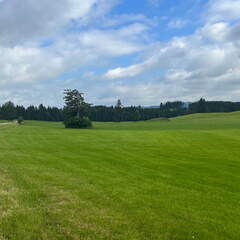 22-07-08 10-20-58 1523